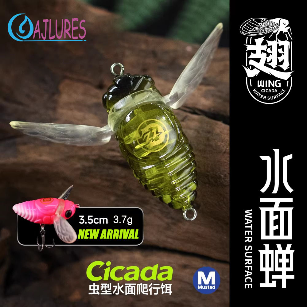 Cicada Topwater Fishing Lure 3 - Fishing Lure Popper review and price